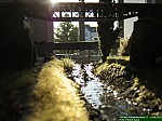 IMG_7320.JPG
