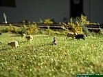 IMG_7328.JPG