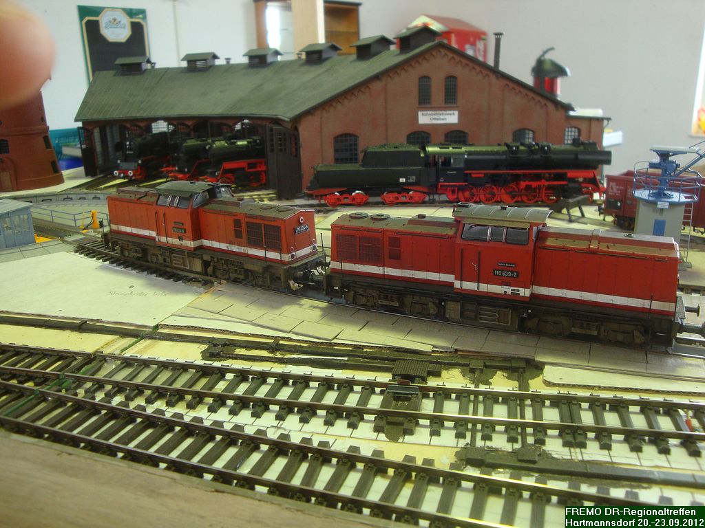 DSC04965.jpg
