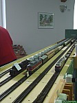 DSC03537.jpg