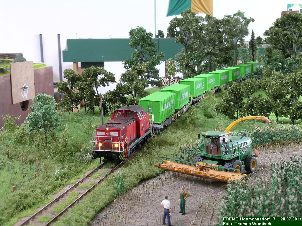 DSCN2953.JPG