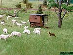 DSCN4535.JPG