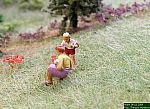 DSCN4588.jpg