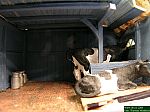 DSCN4599.JPG