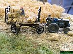 DSCN4619.JPG