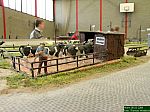 DSCN4622.JPG
