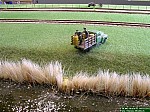 DSCN2239.JPG