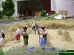 DSCN3776.JPG