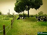 DSCN3854.JPG