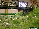 DSCN0908.JPG