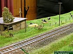 DSCN0933.JPG