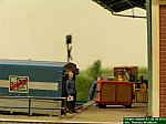 DSCN0937.JPG