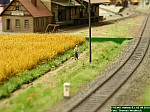 DSCN0947.JPG