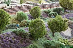 15-04-26_162156_M=B_R=4_S=1.jpg