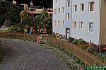 DSC_9667.JPG