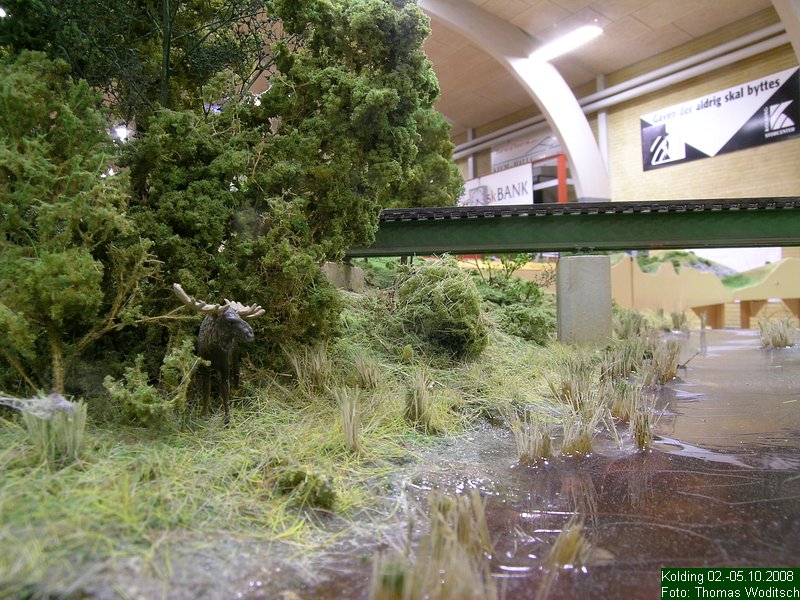 DSCN3934.JPG
