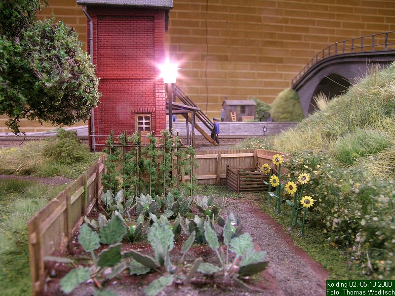 DSCN3969.JPG