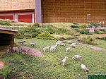 DSCN3976.JPG DSCN3976.JPG