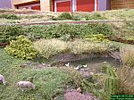 DSCN3977.JPG DSCN3977.JPG
