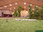 DSCN4014.JPG DSCN4014.JPG