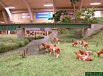 DSCN4025.JPG DSCN4025.JPG