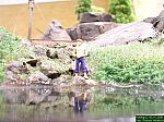 DSCN4105.JPG DSCN4105.JPG