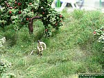 DSCN1843.JPG DSCN1843.JPG