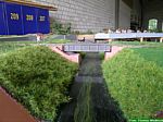 DSCN2038.JPG