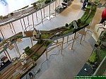 DSCN2874.JPG DSCN2874.JPG
