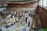 DSC_6938.JPG DSC_6938.JPG