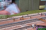 DSC_7122.jpg DSC_7122.jpg