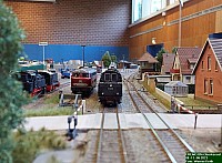 20230611_085047.jpg