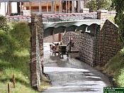 DSC_8518.jpg DSC_8518.jpg