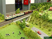 DSCN0080.JPG
