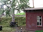 DSCN4489.jpg