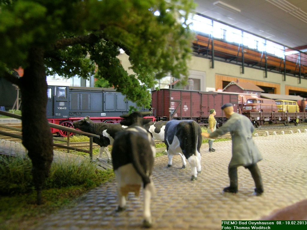 DSCN2753.jpg