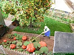 DSCN2721.jpg DSCN2721.jpg