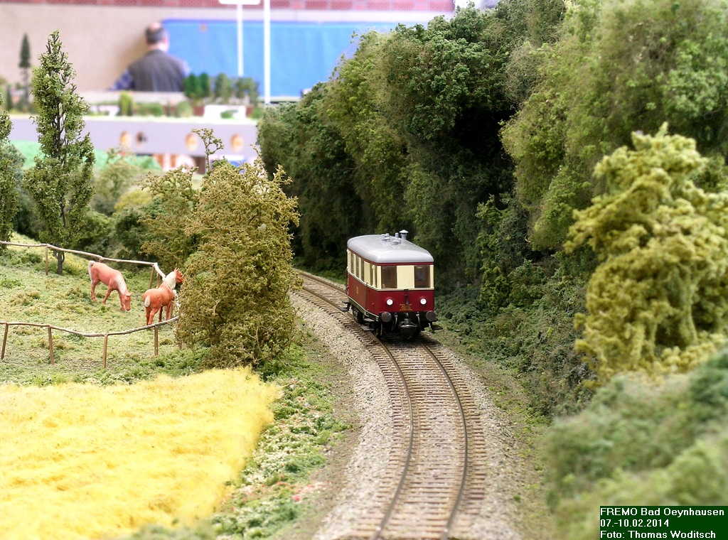 DSCN2760.jpg