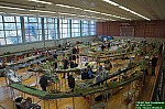 DSC_9496.jpg
