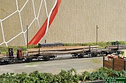 DSC_1667.jpg DSC_1667.jpg