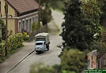 DSC_8913.jpg