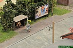 DSC_8914.JPG