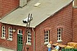 DSC_8919.jpg