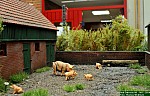 DSC_8932.jpg