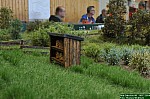 DSC_8986.JPG