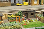 DSC_9036.JPG