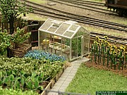 DSCN0259.JPG DSCN0259.JPG