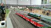 DSC_0503.jpg DSC_0503.jpg