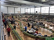 IMG_0684.jpg