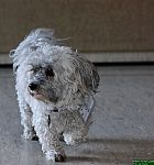 IMG_9249.jpg IMG_9249.jpg